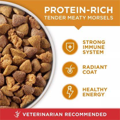 Purina ONE Smartblend Natural Dry Dog Food with Chicken & Rice